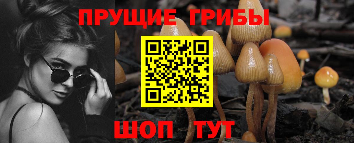 Галлюциногенные грибы GOLDEN TEACHER Алапаевск